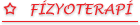 Fizyoterapi